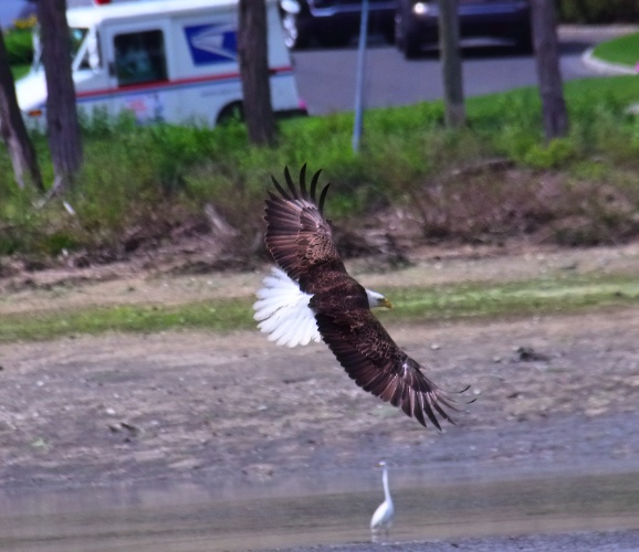 2019 05 08 HTP 90138e